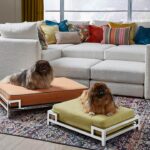 Ideas de nuestros clientes