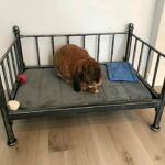 Ideas de nuestros clientes