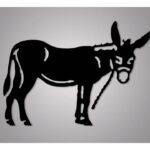 Ideas de nuestros clientes