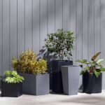 Ideas de nuestros clientes