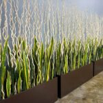 Ideas de nuestros clientes