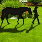 Ideas de nuestros clientes