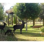 Ideas de nuestros clientes